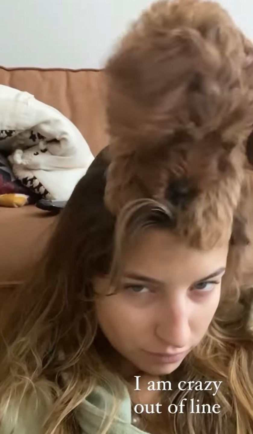 Julia Wieniawa z psem Bowie