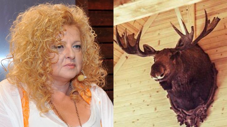 Magda Gessler idzie na wojnę ze Schroniskiem Bukowina