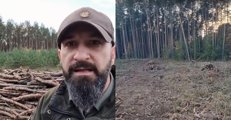 Sezon grzewczy w pełni. Leśnik wskazuje na drewno