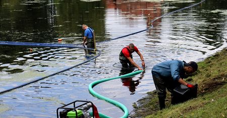 Koszenie moczarki delikatnej w jeziorze Długim. Władze Olsztyna tłumaczą