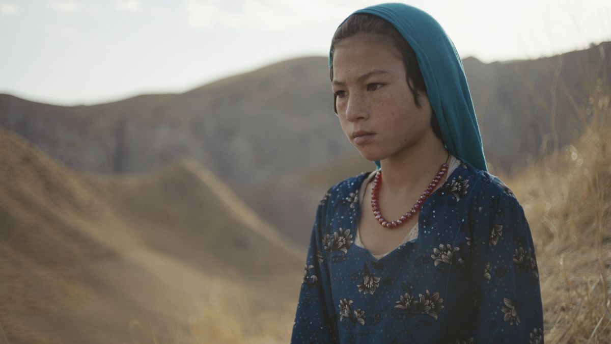 Kadr z filmu "Woolf and sheep"