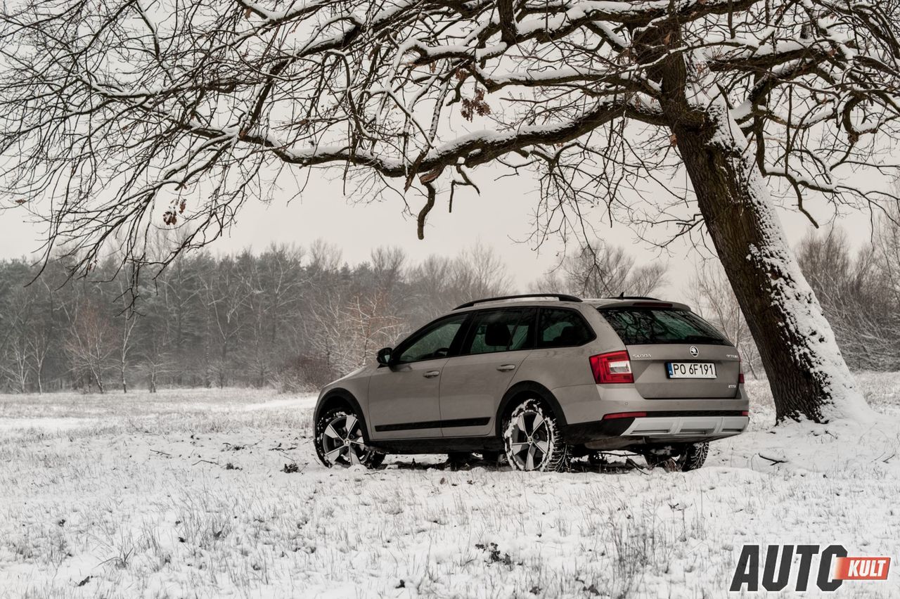 Nowa Škoda Octavia Scout 2.0 TDI - test