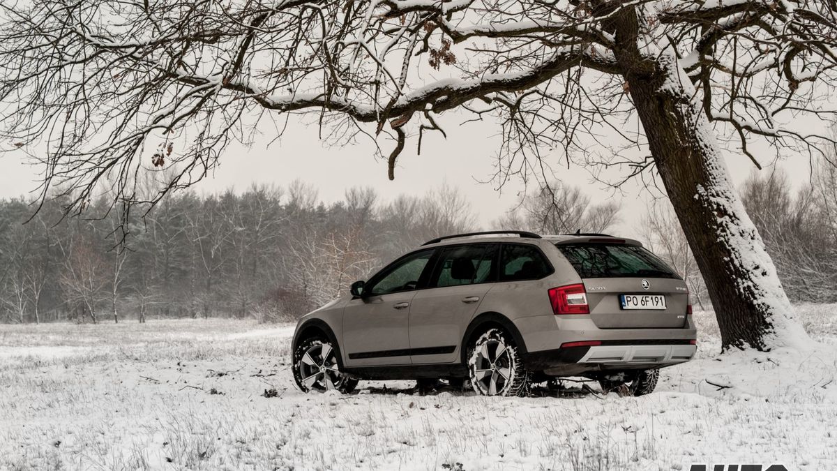 Zdjęcie ilustracyjne do artykułu