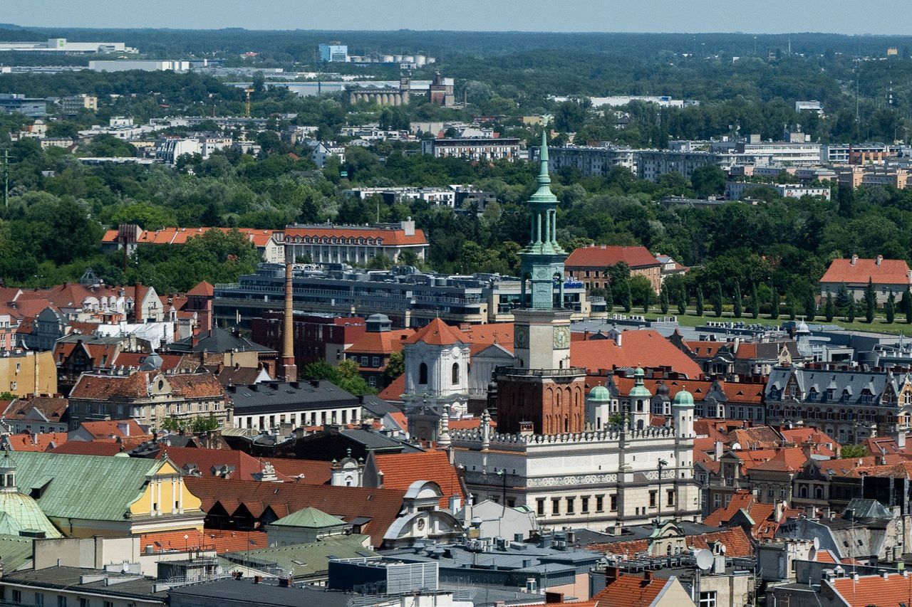Ranking dużych miast w Polsce. Miejsce na podium nie dla Poznania. Co zaważyło na wyniku? Jak wypadł Kalisz?