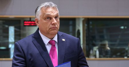 Burza po słowach Orbana. "Putin jest dla niego jak diler, a Węgry są na głodzie"