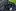 Ford Mustang 2,3 EcoBoost Convertible - silnik