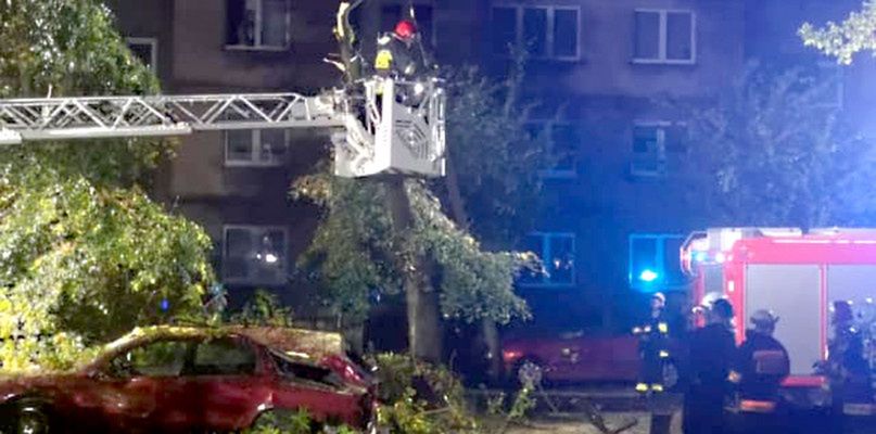 Krajobraz po nawałnicy