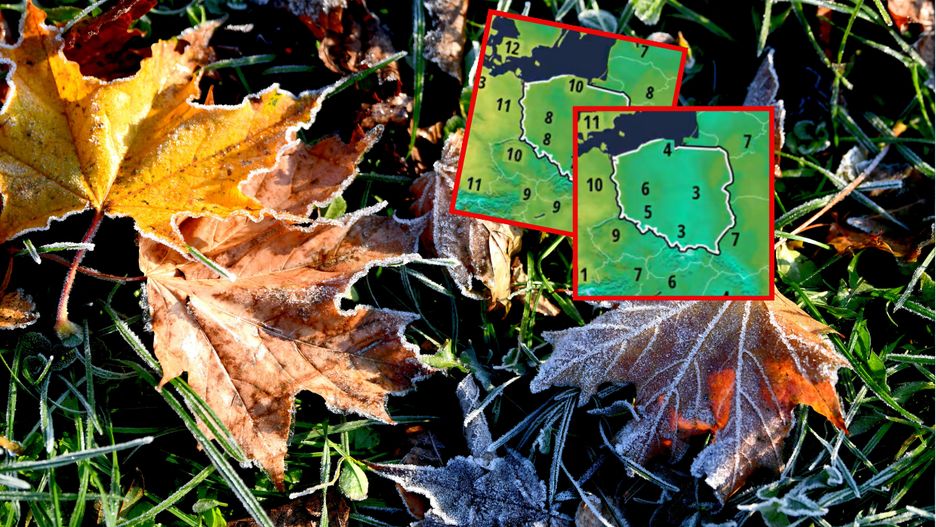 Temperatury spadną sporo poniżej zera