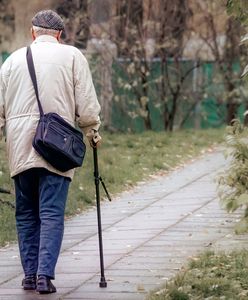 Niższe emerytury? Dane GUS pokazały skalę obniżek. Jak wyglądają wyliczenia?