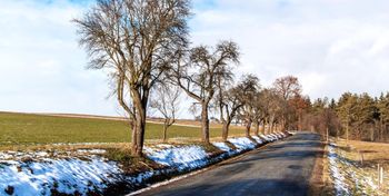 Toruń: Zima odpuszcza? Nadchodzą mgły, mżawka i dodatnie temperatury