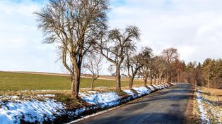 Toruń: Zima odpuszcza? Nadchodzą mgły, mżawka i dodatnie temperatury