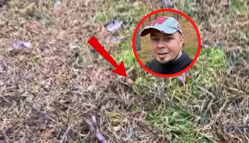 "Las totalnie oszalał". Grzybiarz aż zaczął nagrywać