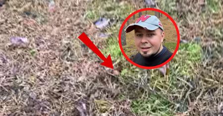 "Las totalnie oszalał". Grzybiarz aż zaczął nagrywać