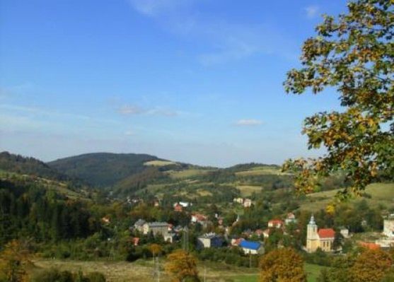 Obraz
