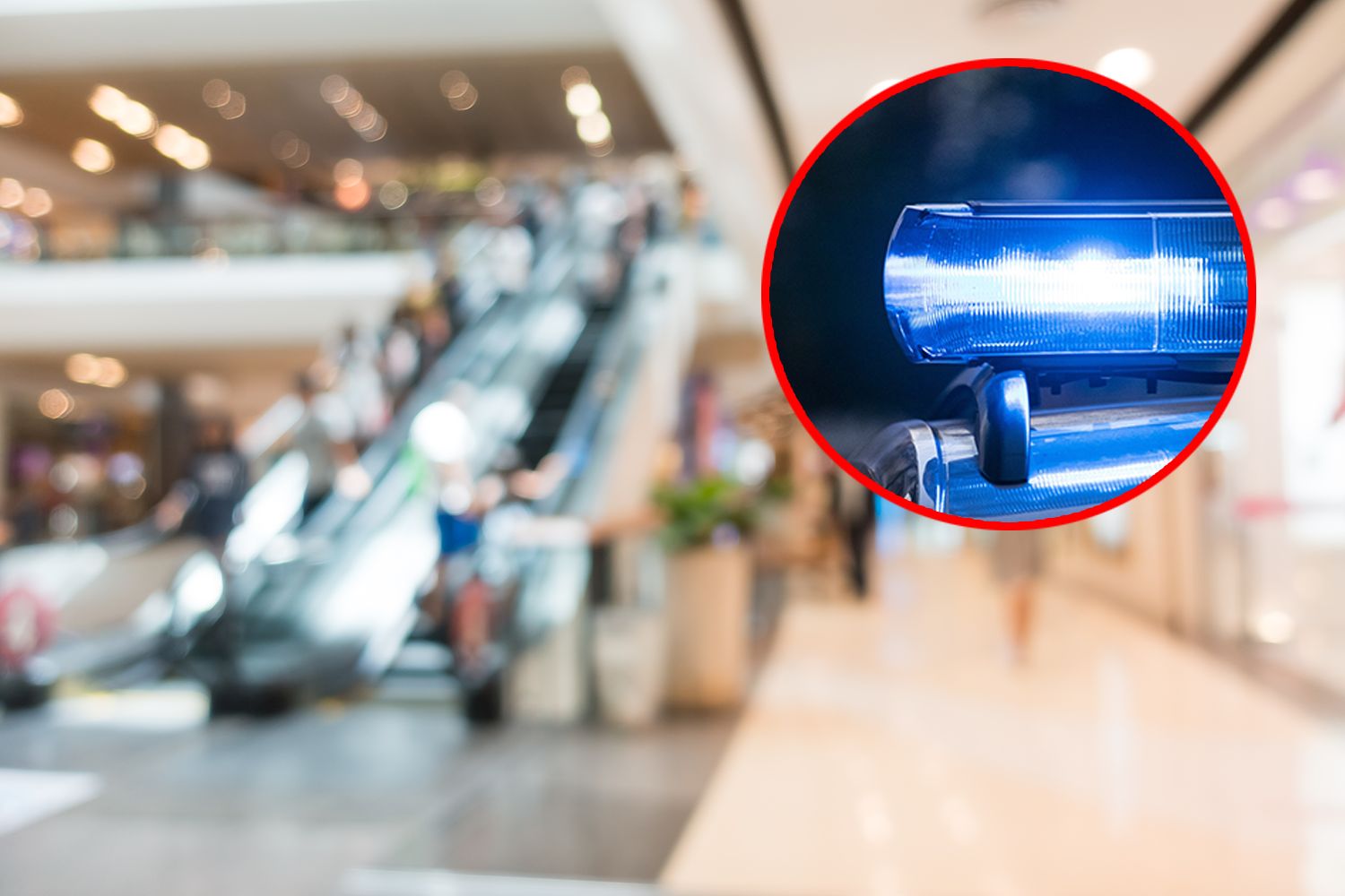 Policjanci złapali złodziejki z Hiszpanii