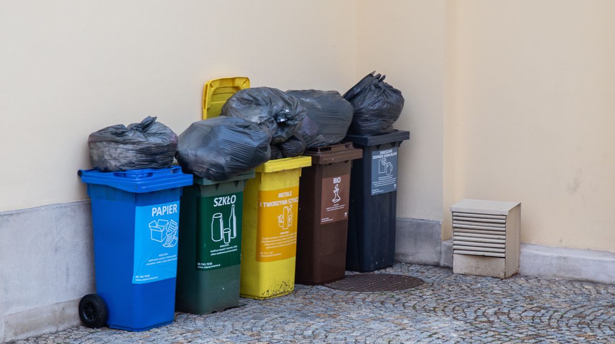 Zielona Góra: Zaglądnęli do śmieci. Co wynika z segregacji?