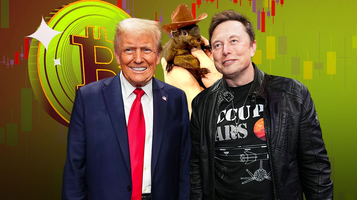 Donald Trump, Elon Musk
