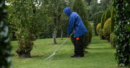 Ile kosztuje praca ogrodnika? Sprawdzamy ceny. 250 zł to wersja oszczędnościowa