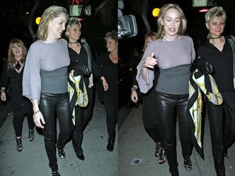 Sharon Stone BEZ STANIKA!