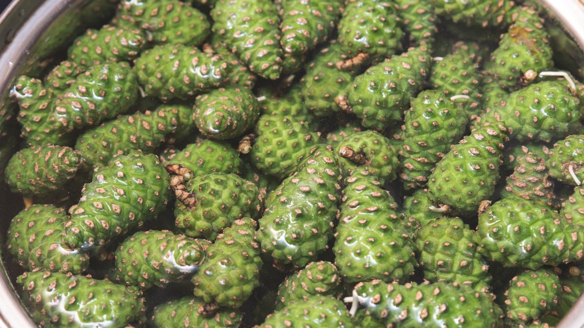 Teraz jest na nie sezon. Sprawdź, jakie przetwory możesz z nich zrobić