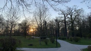 Pogoda we Wrocławiu. Prognoza na piątek 3 kwietnia. Chłodny poranek i dużo słońca