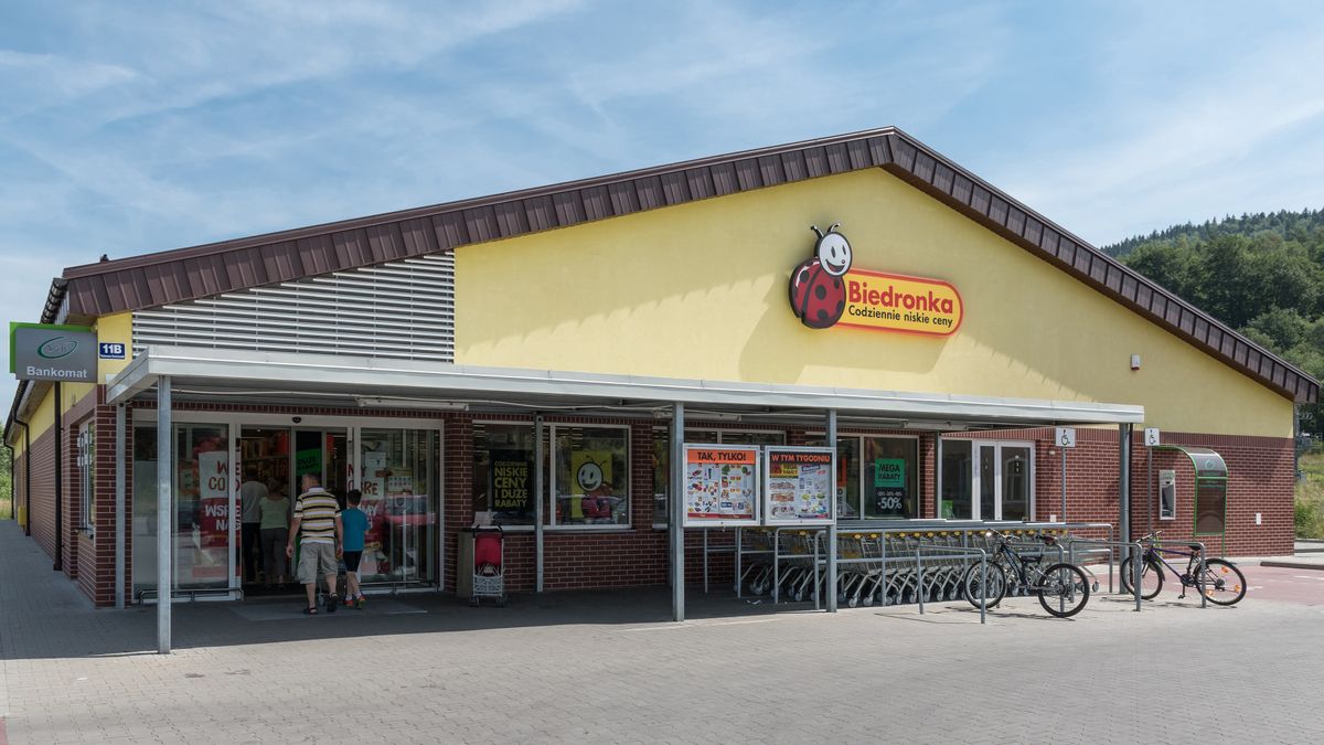 Tulipany to jedne z najpopularniejszych kwiatów wręczanych z okazji Dnia Kobiet