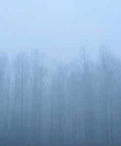 Pogoda. Wrocław. 1 maja - mokro i zimno. Fatalna majówka