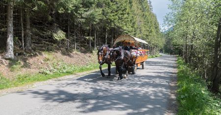 Hybrydowe wozy konne będą wozić turystów nad Morskie Oko. Woźnicy przekonują się do pomysłu