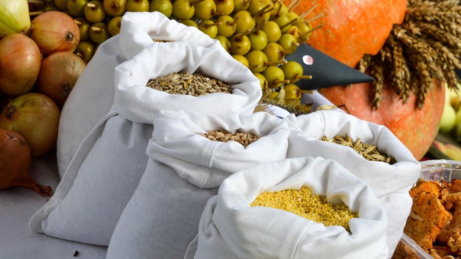 To będzie wielkie święto plonów, smaków i dobrej zabawy