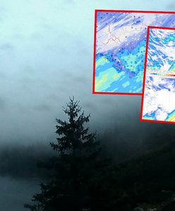 Zrobiło się biało. Pierwsze przymrozki i śnieg w prognozach