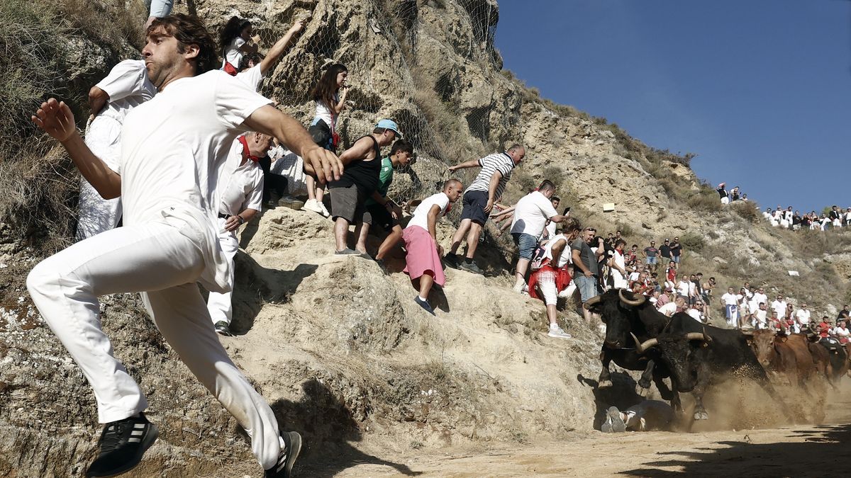 A participant runs from the bulls during the Pilon running of the bulls on the hill in Falces, Navarra, Spain, 20 August 2023. The bull run is held at 'Pilon de Falces', a 800m downhill mountain trail with a rock wall on one of the sides of the path and a cliff on the other. EPA/JESUS DIGES Dostawca: PAP/EPA.