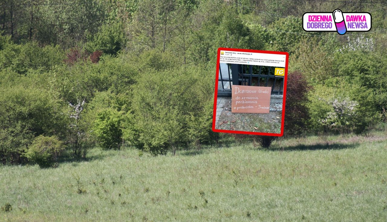 Taka tabliczka przy płocie. "Podjechaliśmy bliżej - i niespodzianka"