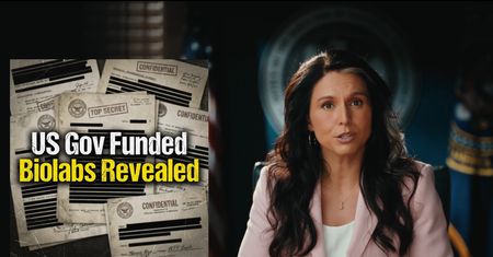 Tulsi Gabbard. Do końca pożyteczna dla Kremla