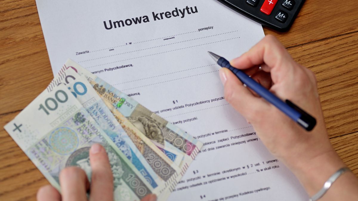 kredyt, cit, vat, pożyczka, bank, polska, polskie, zloty, banknoty, konto, chwilówka, umowa, alimenty, praca, wydatki, mieszkanie, zakupy, życie, kara, podatek, pit, sklep, market, portfel