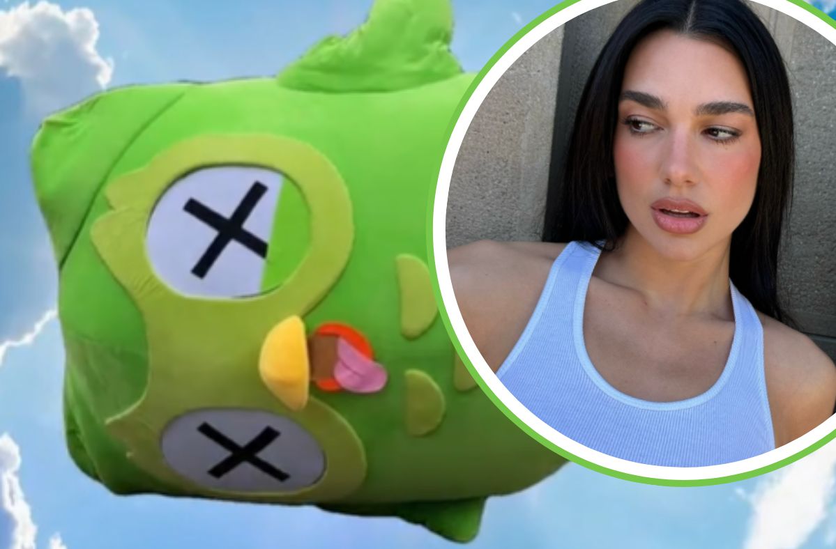 Wir kennen die Todesursache der Duolingo-Eule. Dua Lipa trauert um den Vogel.