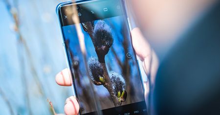 Huawei P50 Pro z lepszym aparatem niż poprzednik. Dlaczego ta wiadomość nie wzbudza entuzjazmu?