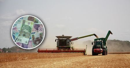 64 zł za godzinę dla Polaków za ciężką fizyczną pracę w Holandii. Są chętni?