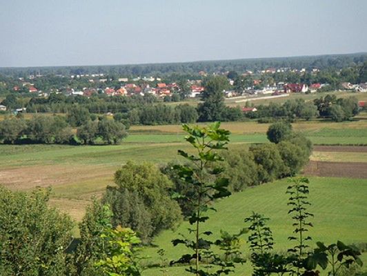 Obraz