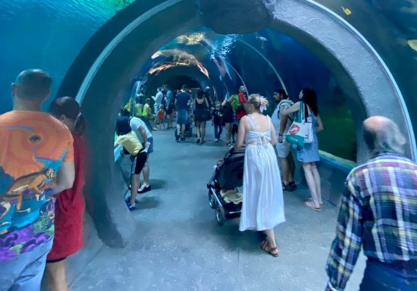 Podwodny tunel to ulubiona atrakcja turystów, którzy odwiedzają Orientarium 