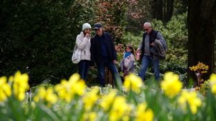 Wiosna wraca do Ogrodu Botanicznego UMCS. Nowy sezon pełen barw, sztuki i natury