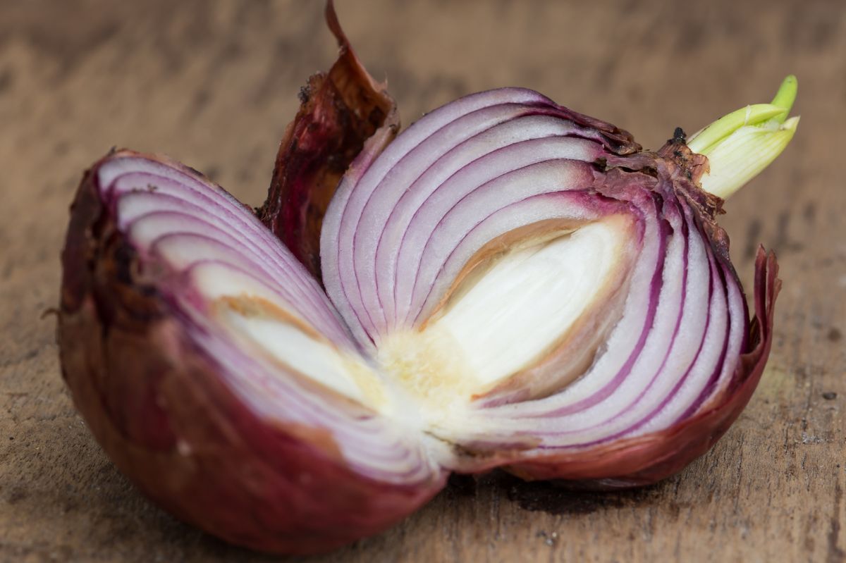 Czy można zjeść nadgniłą cebulę? Wielu nie ma pojęcia, czy to szkodliwe
