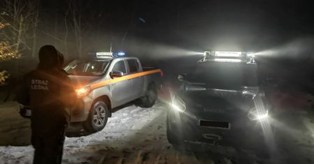 Patrole późno w nocy. "Nielegalne strzały". Leśnicy alarmują