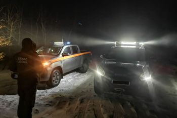 Patrole późno w nocy. "Nielegalne strzały". Leśnicy alarmują