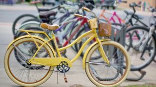 Poznań: Rzeka Rowerów. Barwna parada i rodzinny piknik za nami