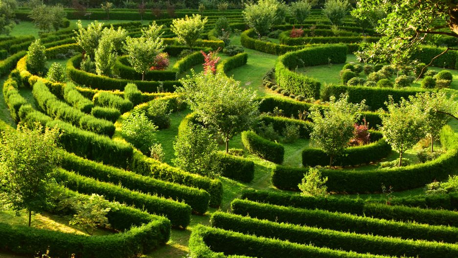 arboretum, las, brama, morawska, ogród, botaniczny, bramy, morawskiej, przyroda, proces, biologiczny, gatunki, ekologiczny, zaczarowany, dydaktyczne, trawa, alejki, turystyczny, zwiedzanie, green, kontakt, przyrodniczy, pola, labirynt, krajobraz, rolnictwa, jardin, farma, ryz, charakter, cherbata, taras, plantacja, bali, azja, winnica, górka, obszarów wiejskich, drzew