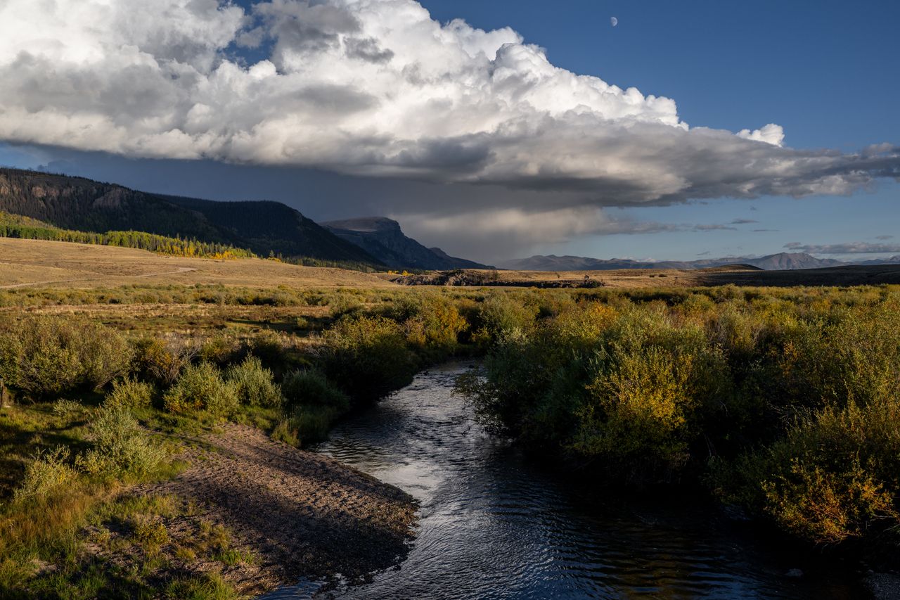 Rivers in danger. Scientists are sounding the alarm