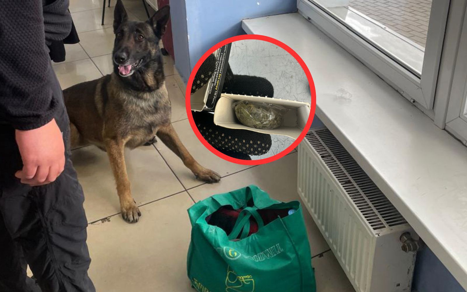 Chcieli jechać z narkotykami przez granicę z Polską