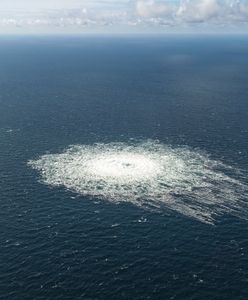 Polski kabel uszkodzony? Alarm w Szwecji