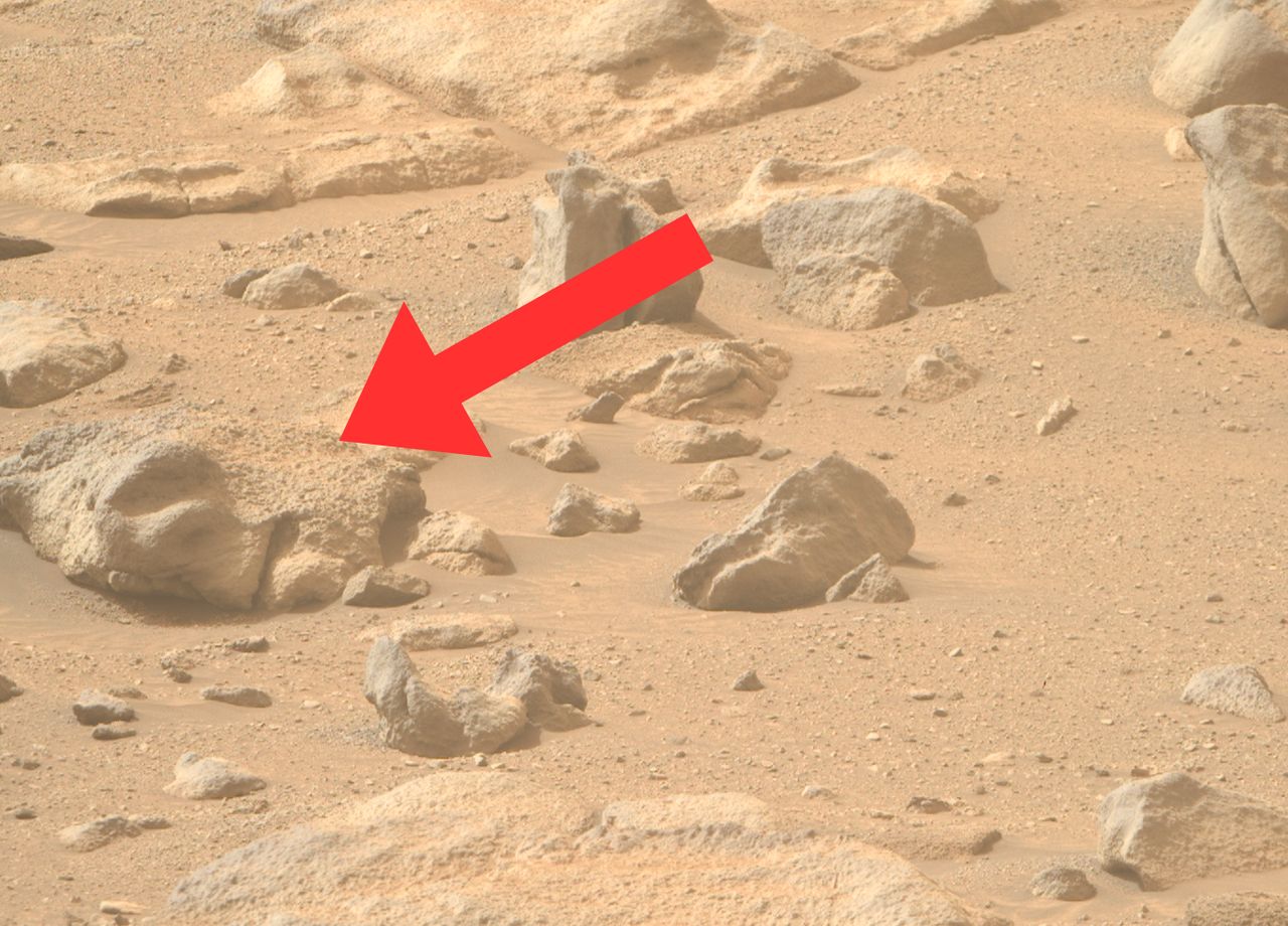 A rock resembling a human face was found on Mars.