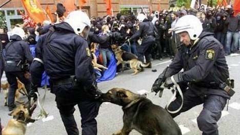 Sony, Square, Codemasters, a teraz - hiszpańska policja! 1